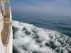 Cruising at 12 knots made a great bow wave