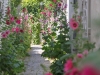 St Martin was a maze of small alleyways adorned with hollyhocks