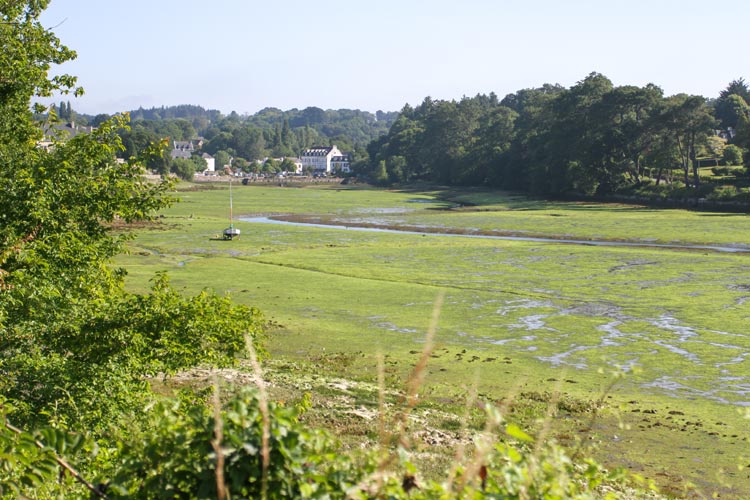 Low tide looking towards the village (northwards)