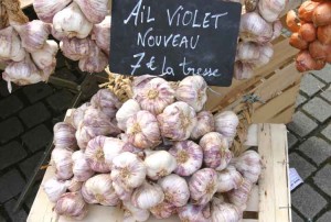 Rose (violet) garlic, the best of all garlics, at the farmer's market, Paimpol, Brittany