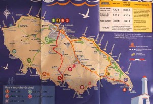 The bus map. Routes and route numbers are different between morning and afternoon