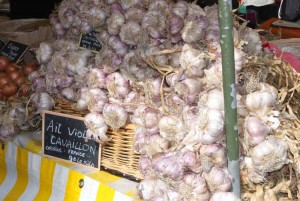 Rose garlic was only one of many varieties