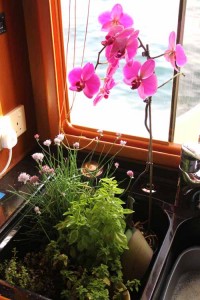 The garden travels in the sink for protection!