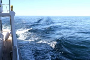 A lovely calm sea for cruising