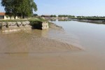 The mud bank by the entry to the lock from the river