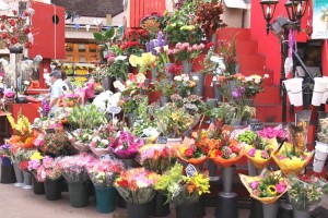 The most lovely flowers abound in the market