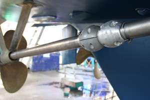 Twin shaft anodes secured in place with jubilee clips