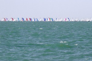 Fleets of small yachts were racing